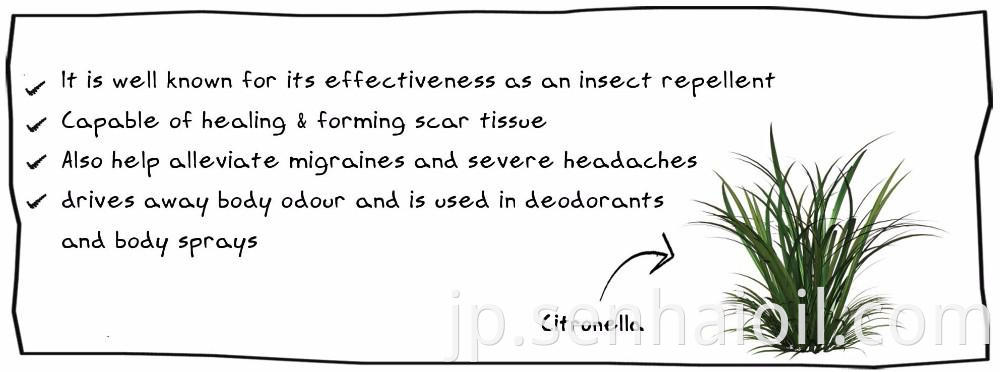 citronella oil